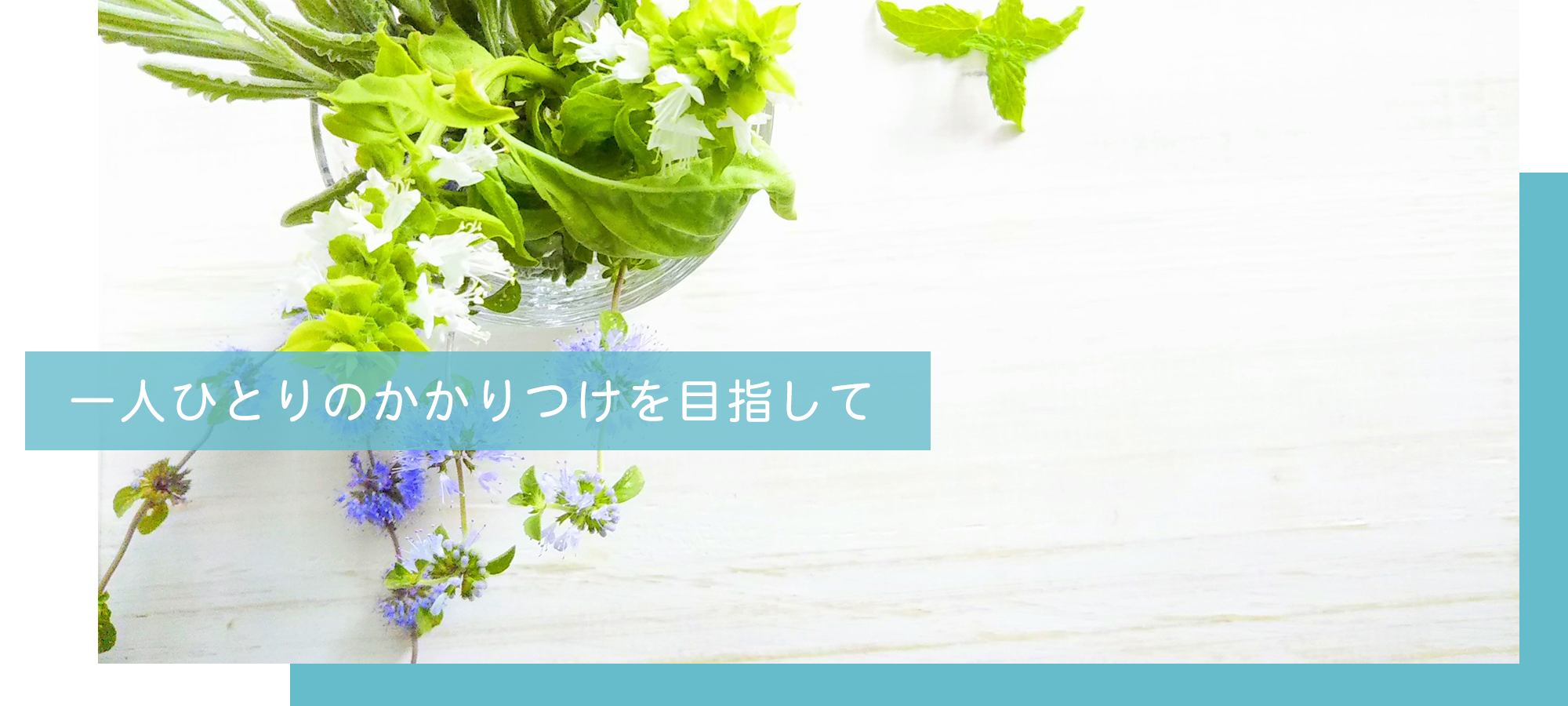 前橋市朝倉町、わかば小前停留所、調剤薬局
